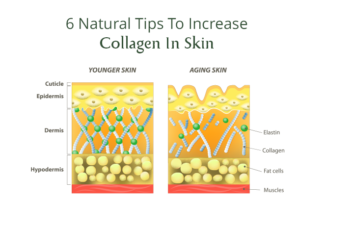 6 Tips To Boost Collagen Production For A Youthful Glow